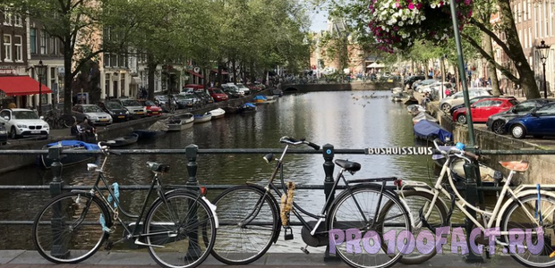 Как Амстердам стал велосипедным раем?